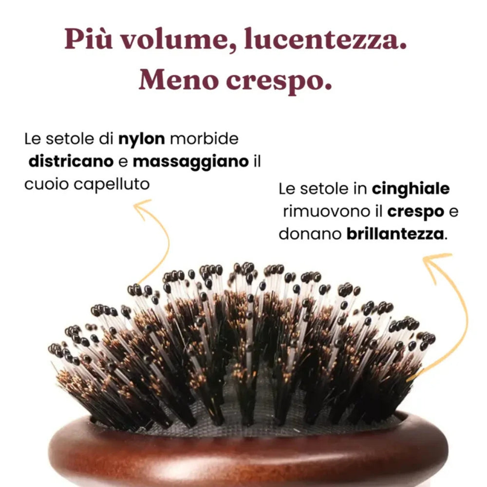 Spazzola Districante in Setole di Cinghiale